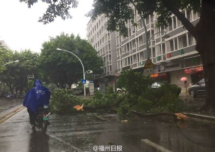 台风深入内陆 多地有大暴雨